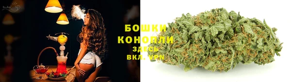 стафф Краснотурьинск