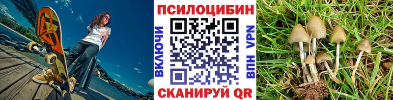 Псилоцибиновые грибы прущие грибы  Купить закладки  Камызяк 