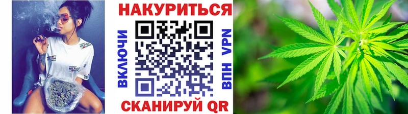 Канабис семена  Купить  Камызяк 
